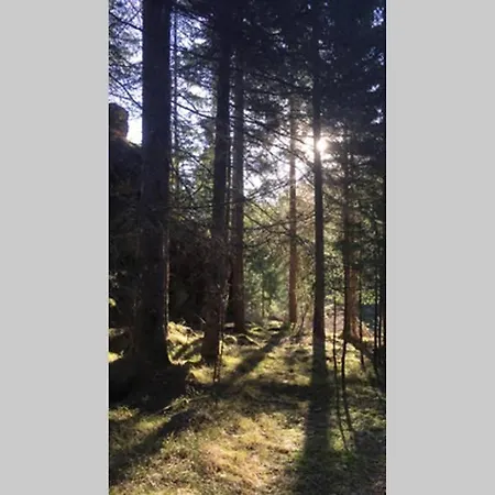 Дом отдыха Gemuetliches Am Waldrand *