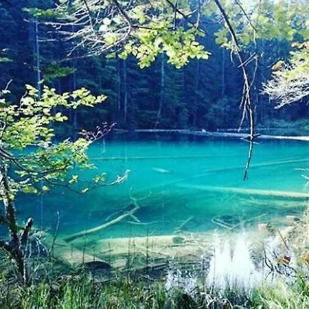 Gemuetliches Am Waldrand Prázdninový dům Tröpolach