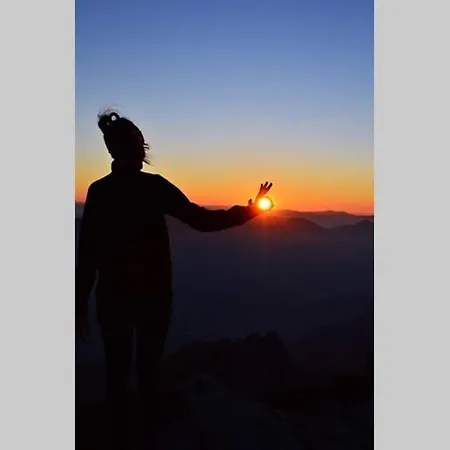 Gemuetliches Am Waldrand