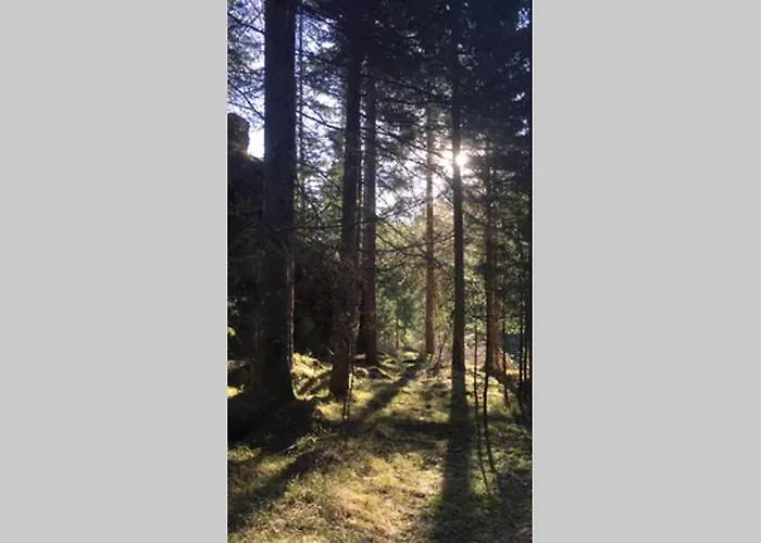 Дом отдыха Gemuetliches Am Waldrand *