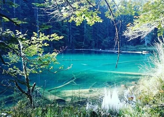 Gemuetliches Am Waldrand Дом отдыха Трёполах