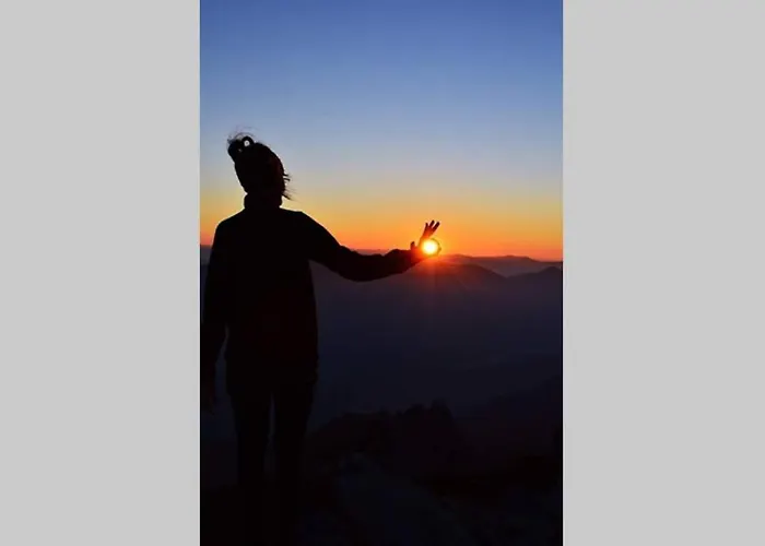 Gemuetliches Am Waldrand